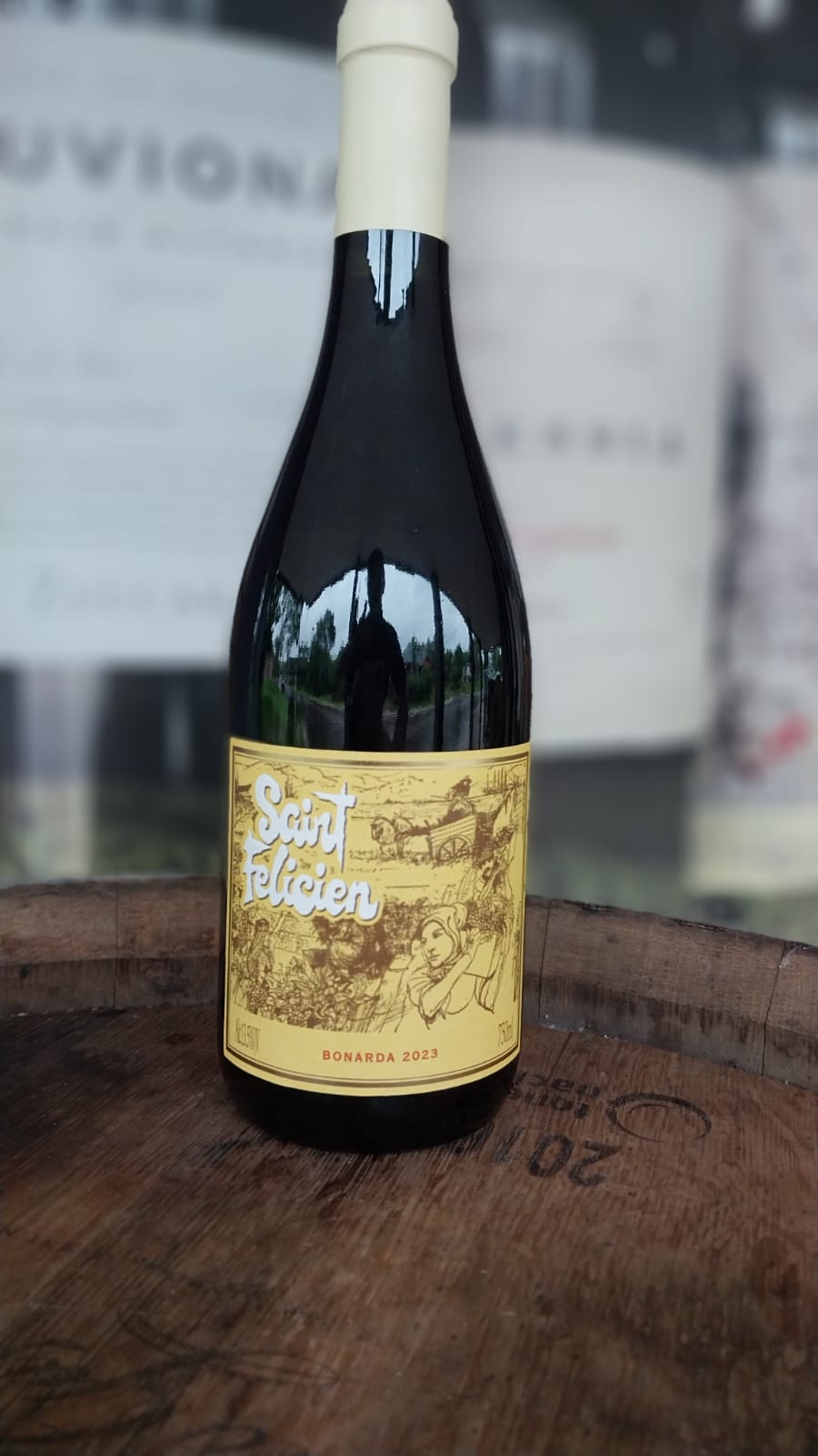 VINHO TINTO SAINT FELICIEN BONARDA