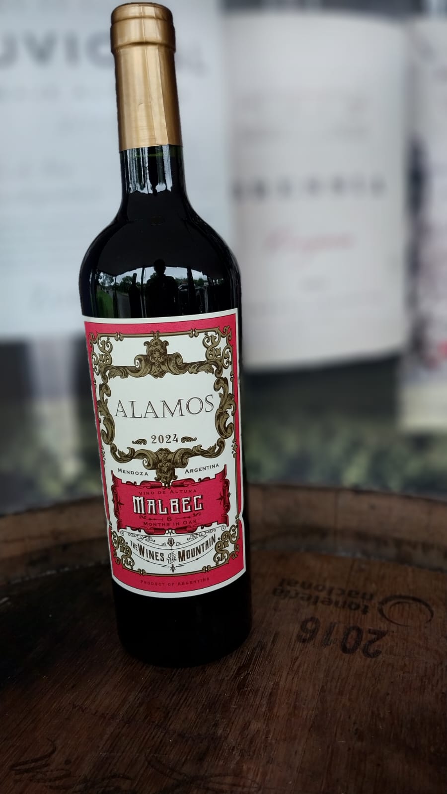 VINHO TINTO ALAMOS MALBEC