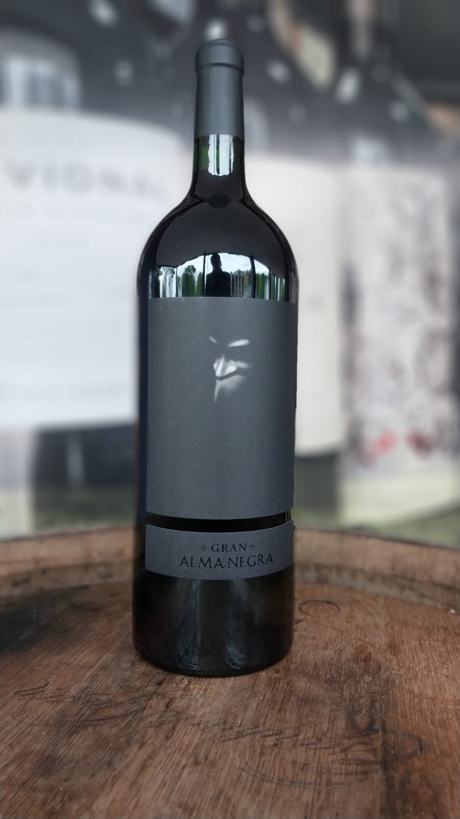 VINHO TINTO ALMA NEGRA MAGNUM SAFRA 2014