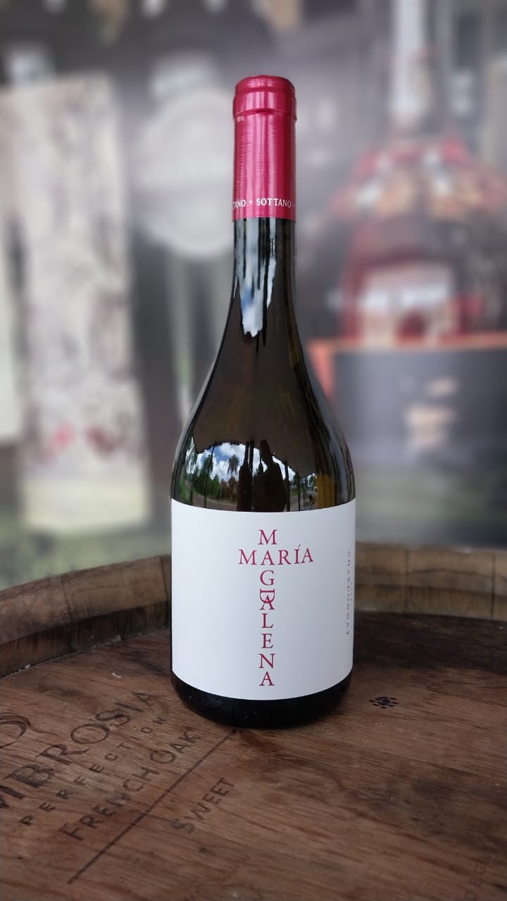 VINHO BRANCO SOTTANO MARIA MAGDALENA CHARDONNAY