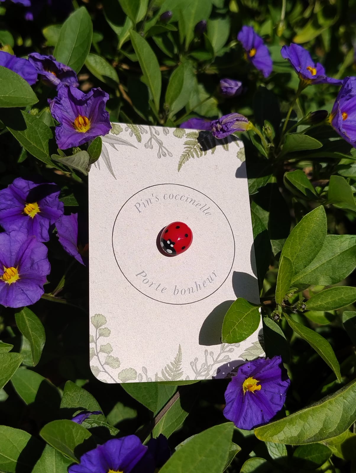 Pin's Coccinelle Porte-Bonheur