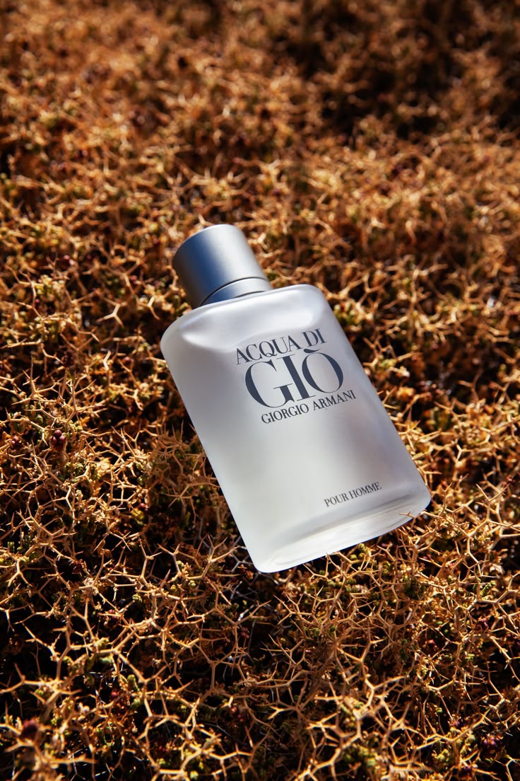 Giorgio Armani Acqua di Gio. Pour Homme. For Men. 100 ml 3.4 oz fl.