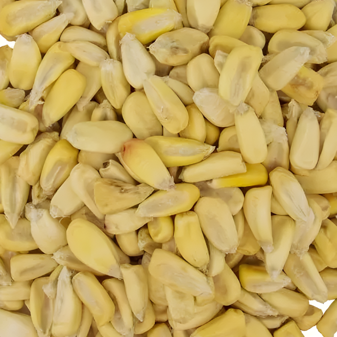 Maíz para tostar