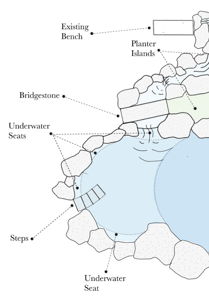 Consultation Packages – Natural Pool & Pond Project Guidance