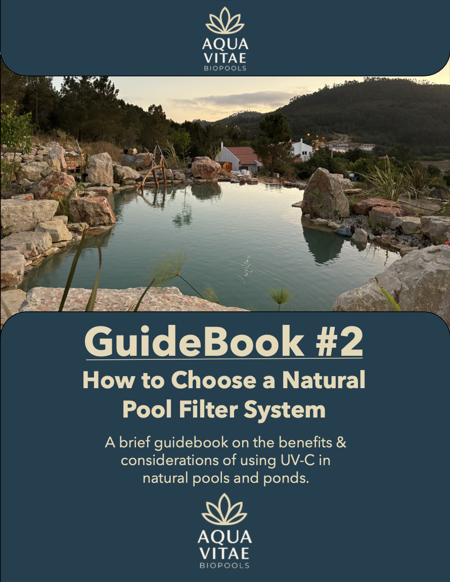 Natural Pool Styles - Which one to Choose - GuideBook #2