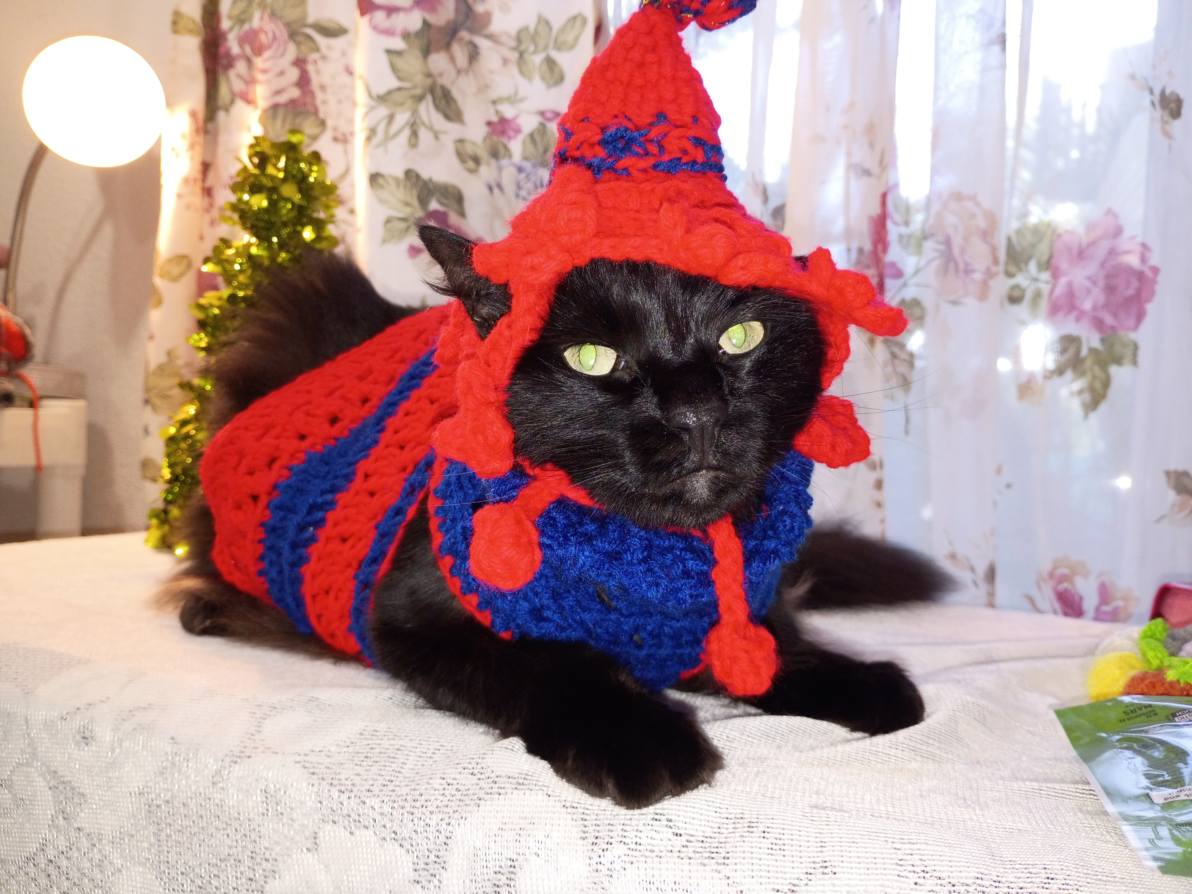 Pet outfit Set Sweater + Hat (Small Medium Dog) or (Large Cat)