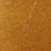 Indus gold Marble 