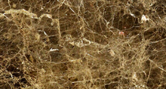 Dark Emperador Marble