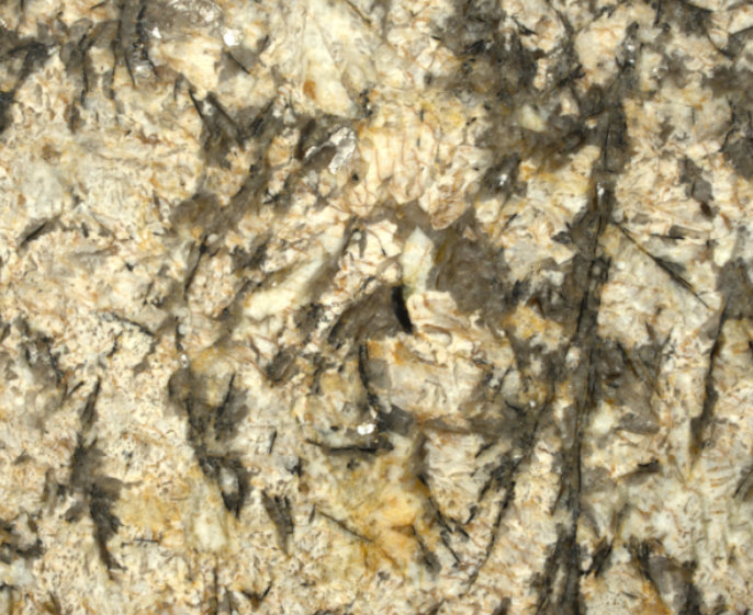 Golden Parsa -Brazil 