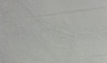 Supreme White  Marble – Pakistan