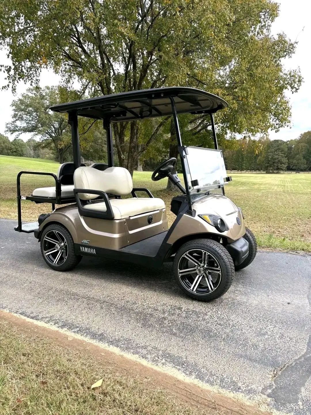 2020 Yamaha 48V AC Electric Golf Cart – 4 Seater