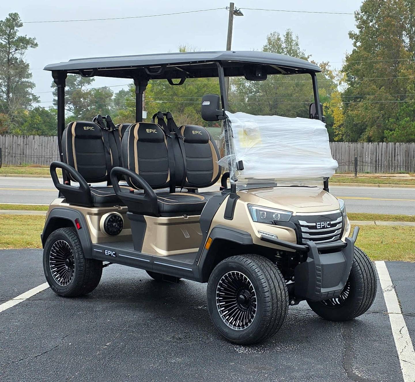 2025 Epic E40FX Metallic Cashmere Golf Cart – 4 Passenger | Fully Loaded