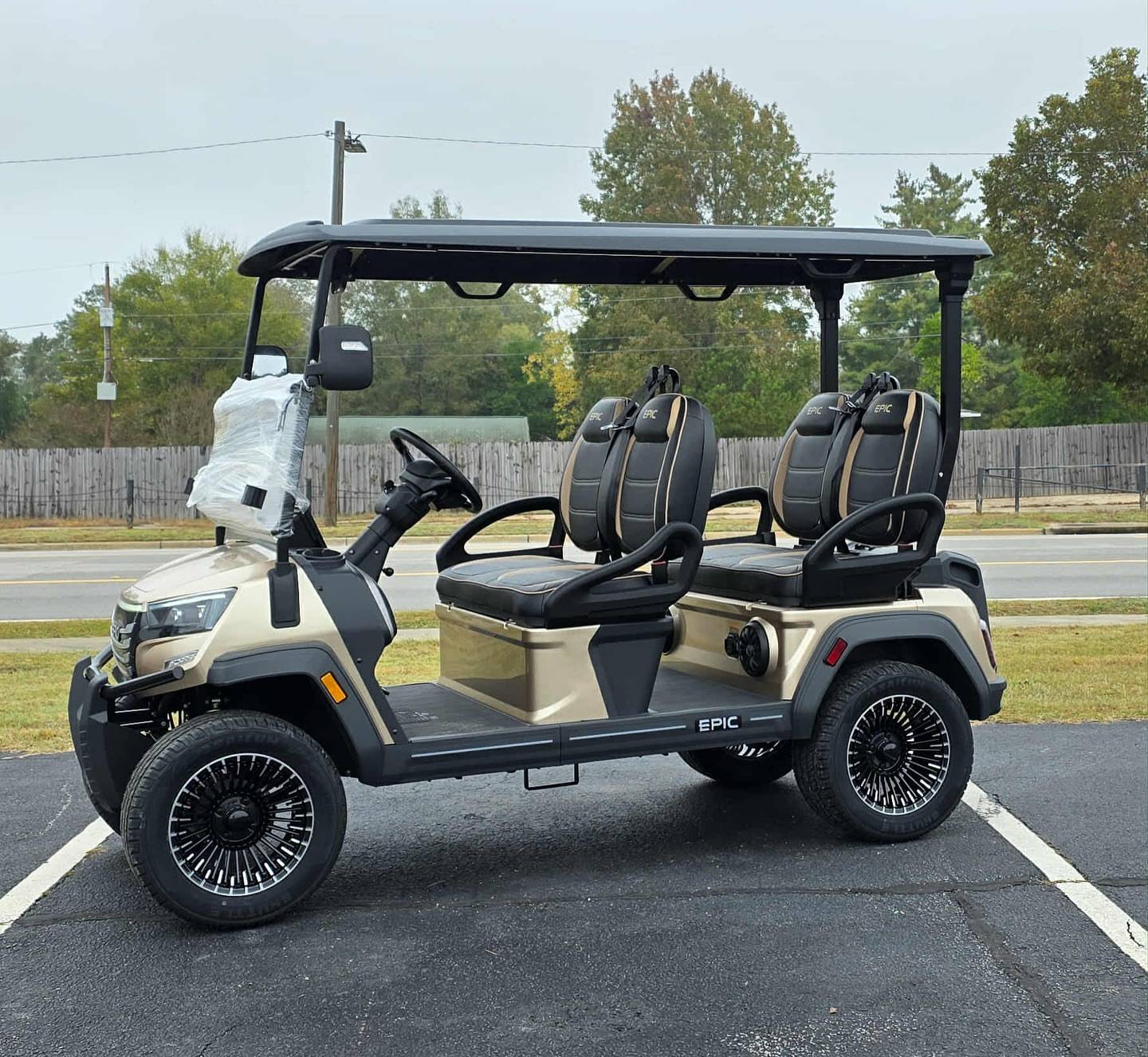 2025 Epic E40FX Metallic Cashmere Golf Cart – 4 Passenger | Fully Loaded
