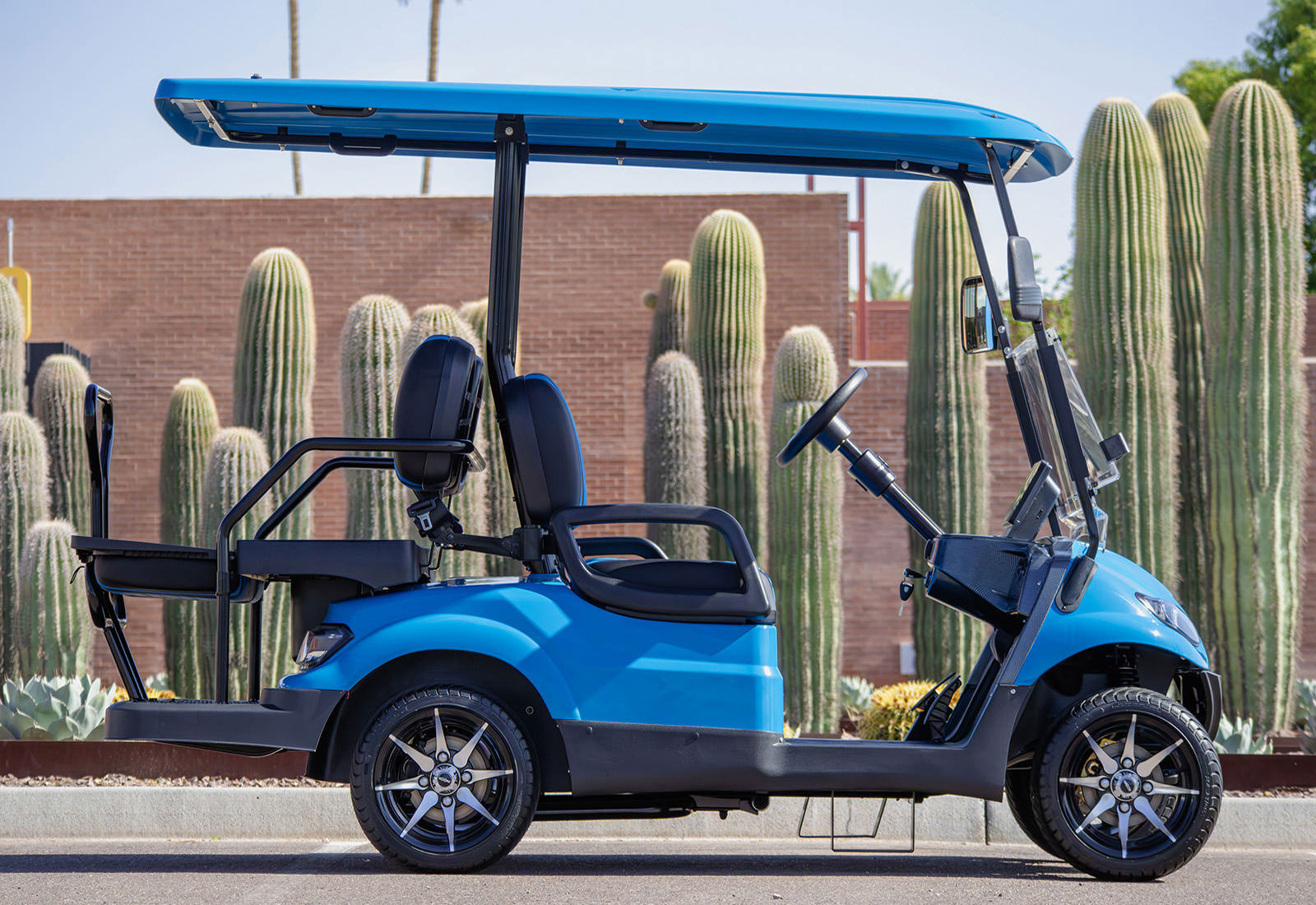 Electric Golf Cart