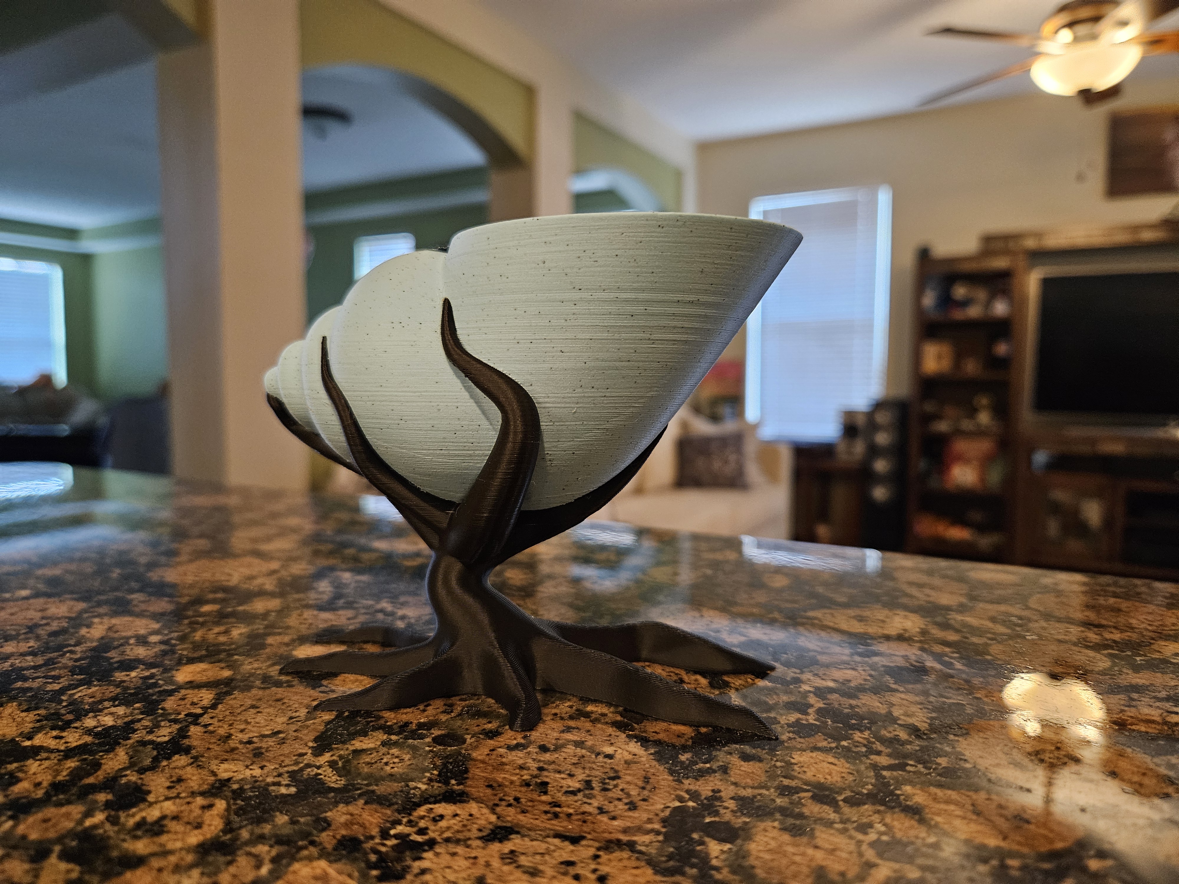 Vaso decorativo concha