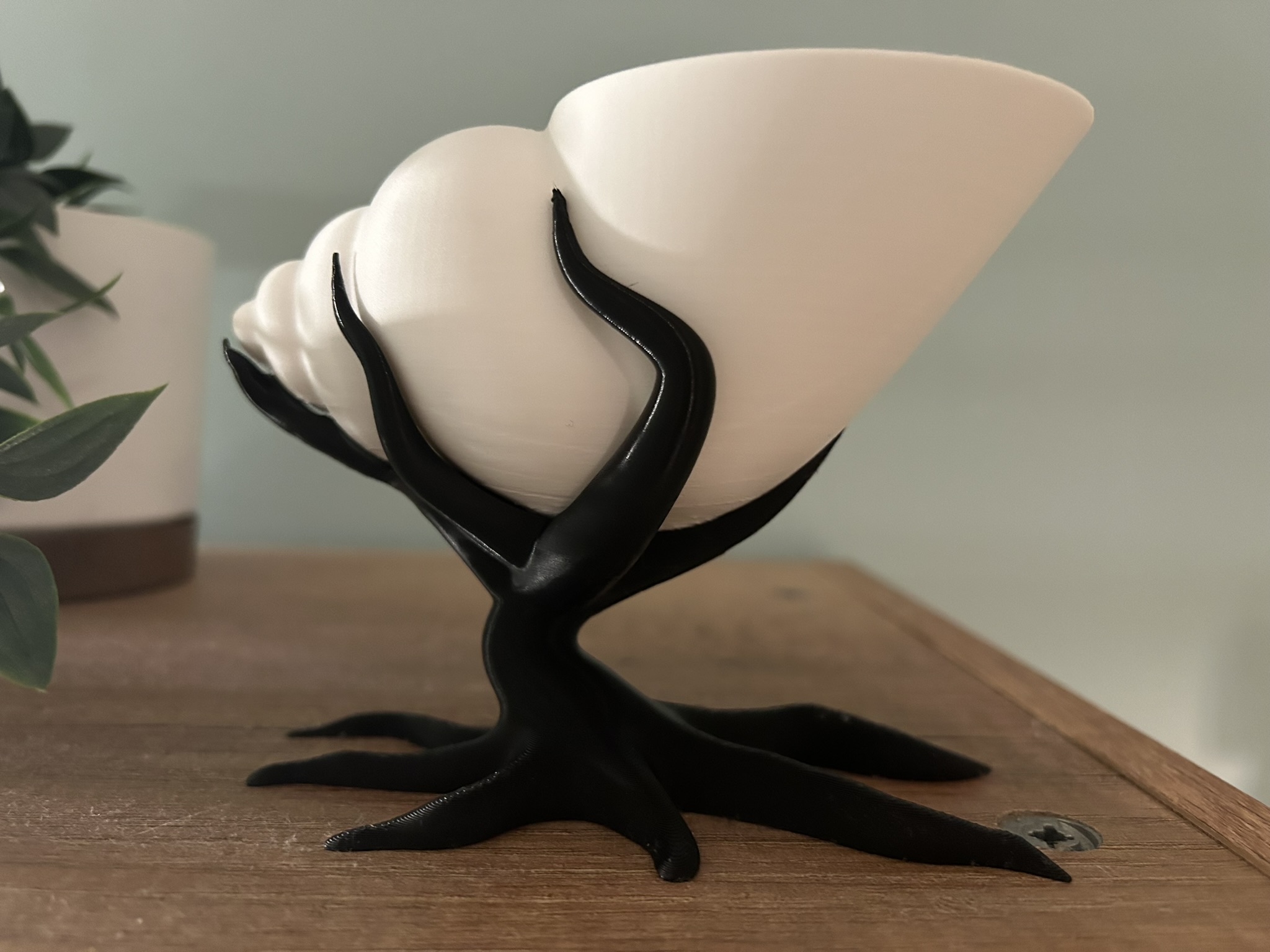 Vaso decorativo concha