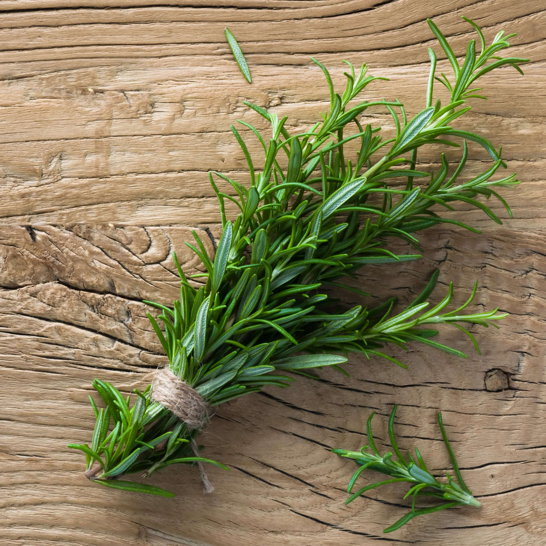 Dried Rosemary Bundle