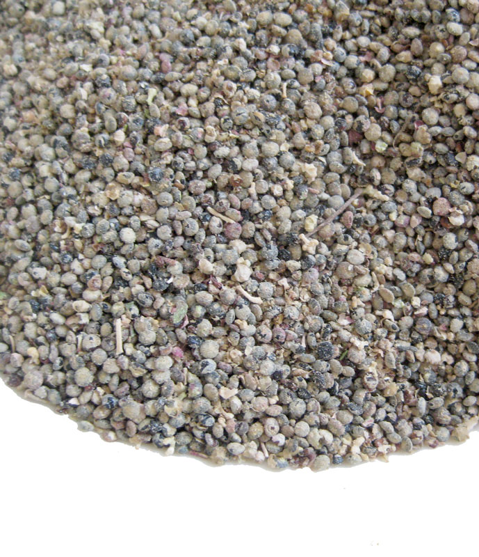 Lambsquarter Seed Packet