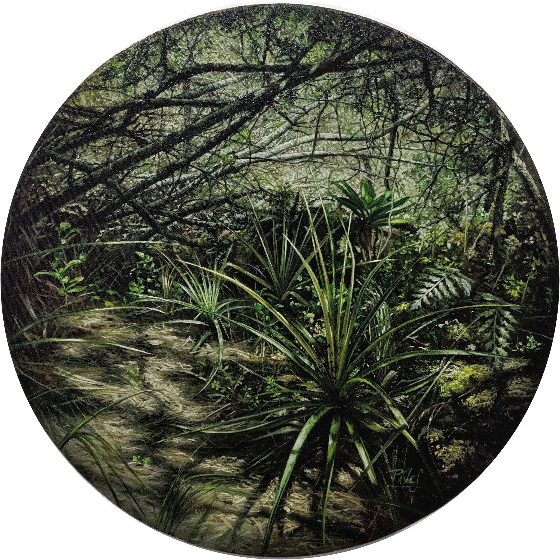 OXÍGENO 1 Y OXÍGENO 2