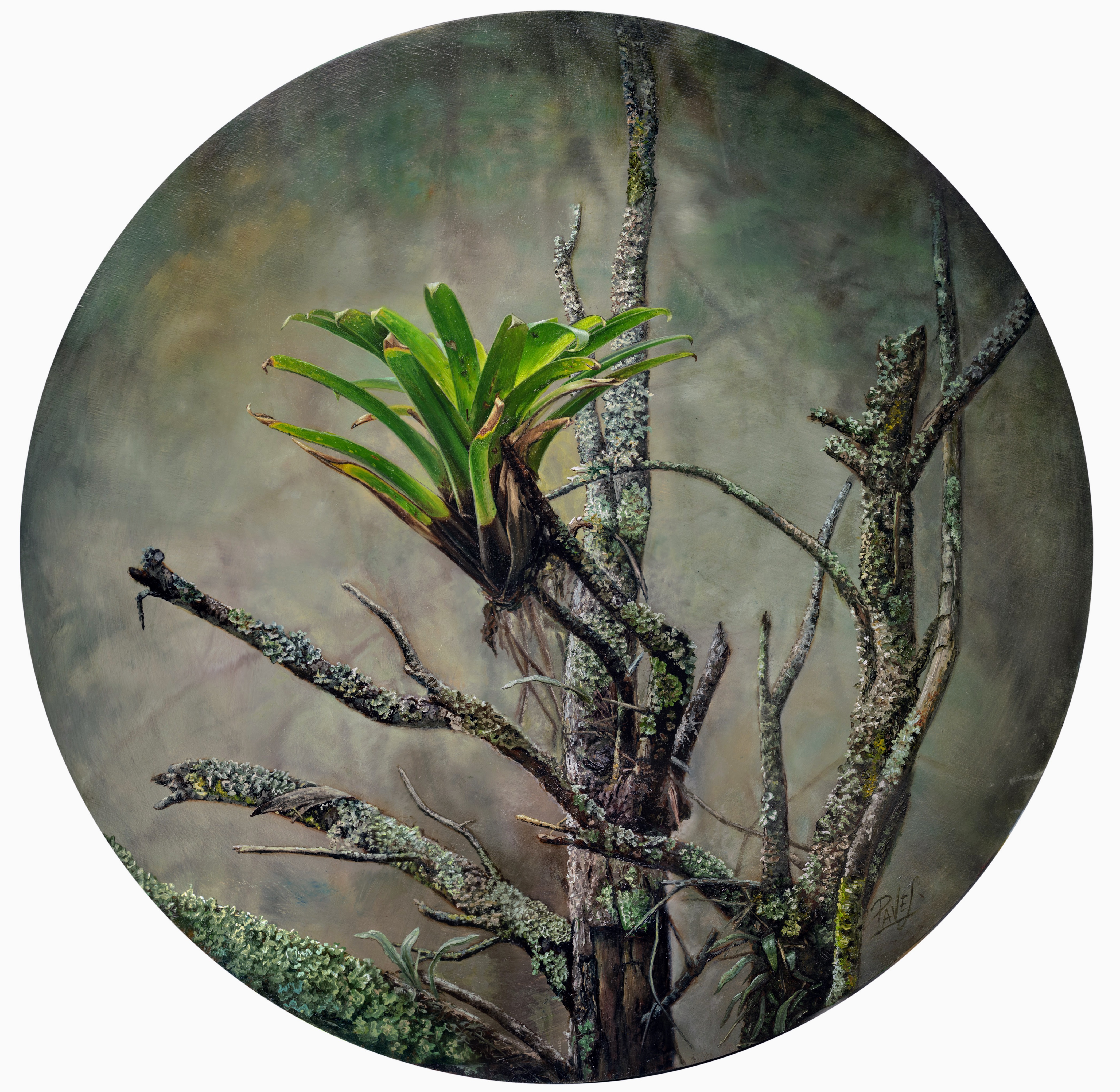 SIMBIOSIS 1 y SIMBIOSIS 2