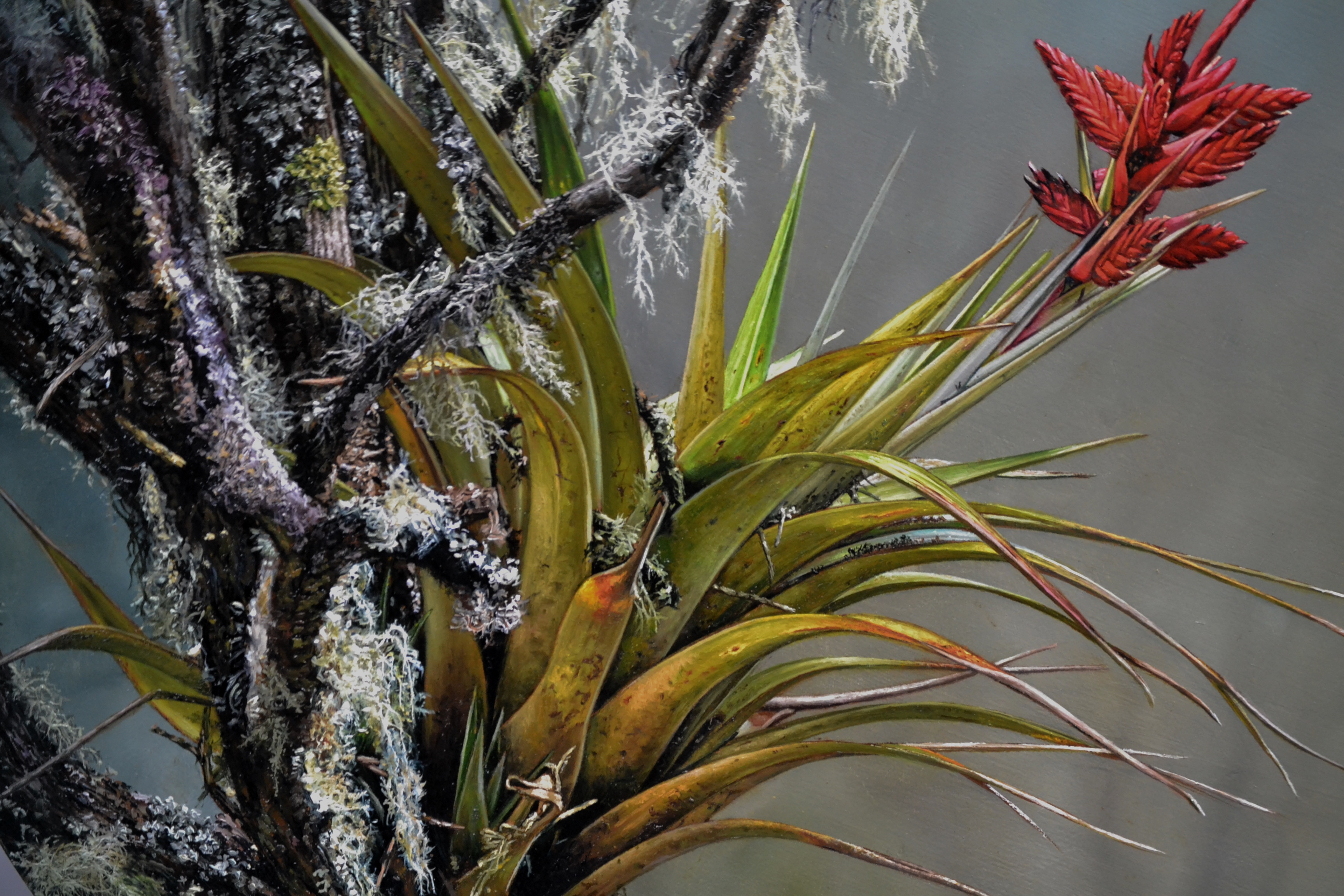 SIMBIOSIS 1 y SIMBIOSIS 2