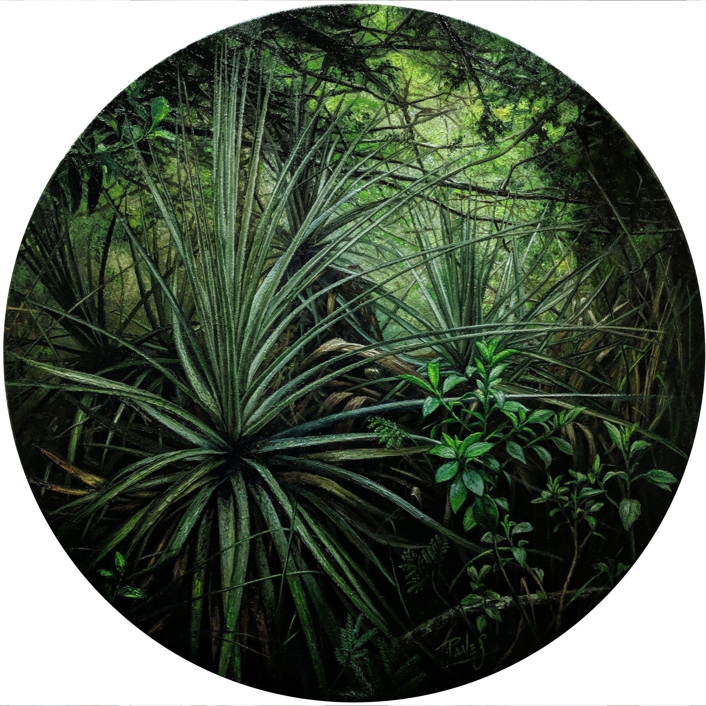 OXÍGENO 1 Y OXÍGENO 2