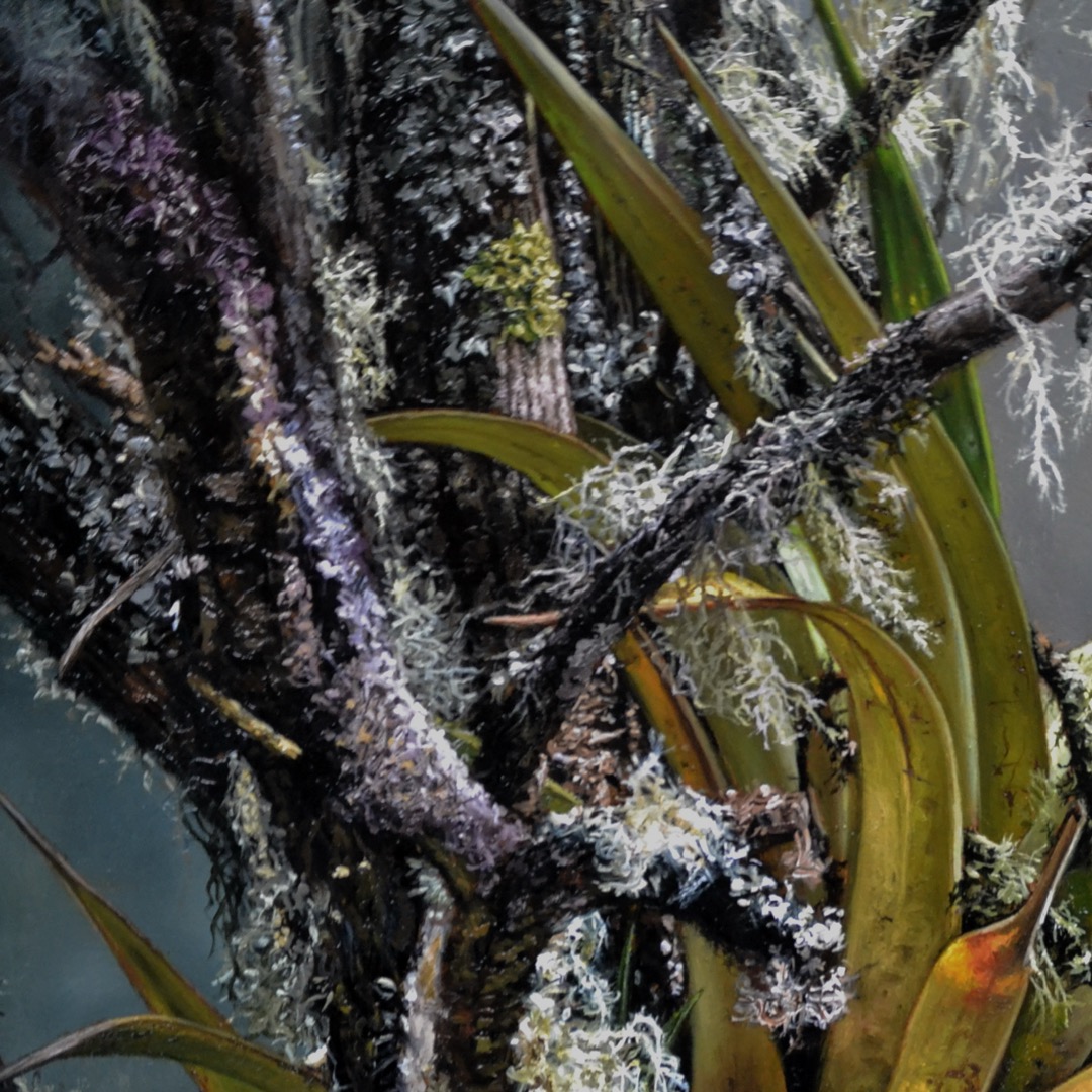 SIMBIOSIS 1 y SIMBIOSIS 2