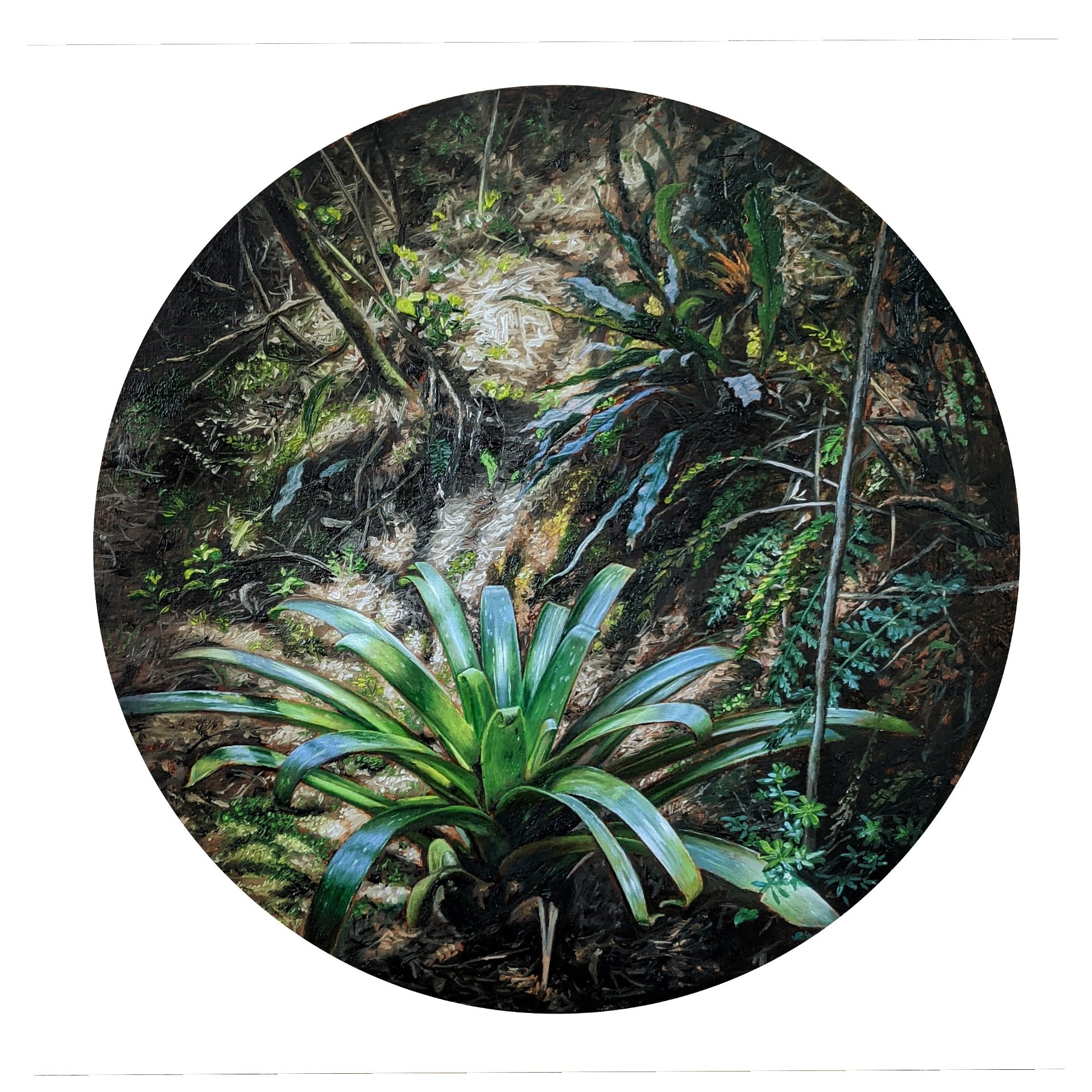 OXÍGENO 3 Y OXÍGENO 4