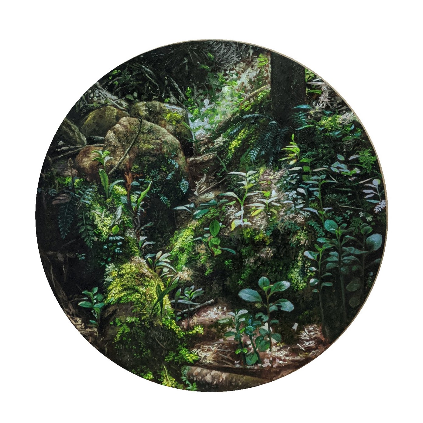 OXÍGENO 3 Y OXÍGENO 4