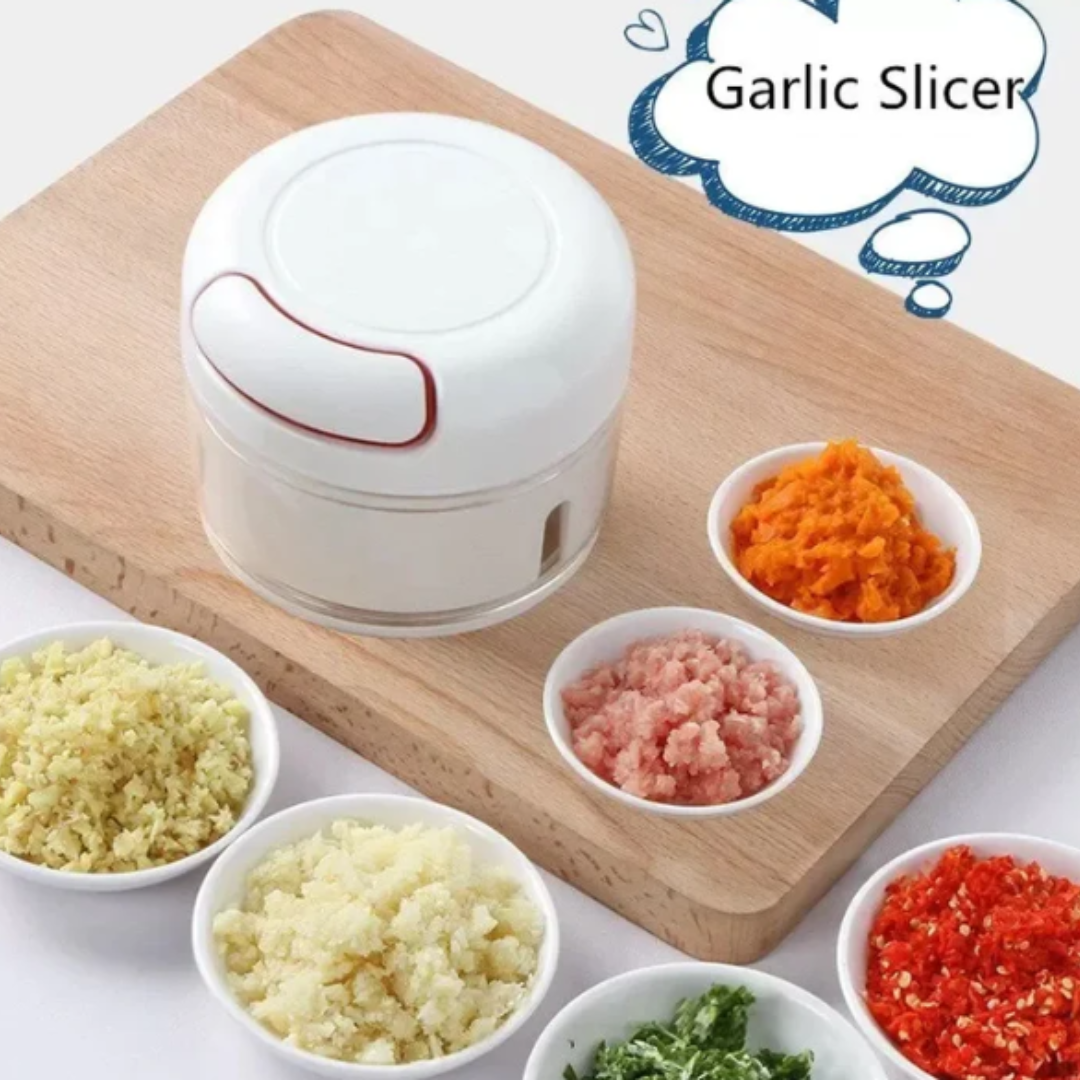 Mini Manual food chopper & Garlic chopper