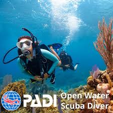 Open Water Scuba Diver Course