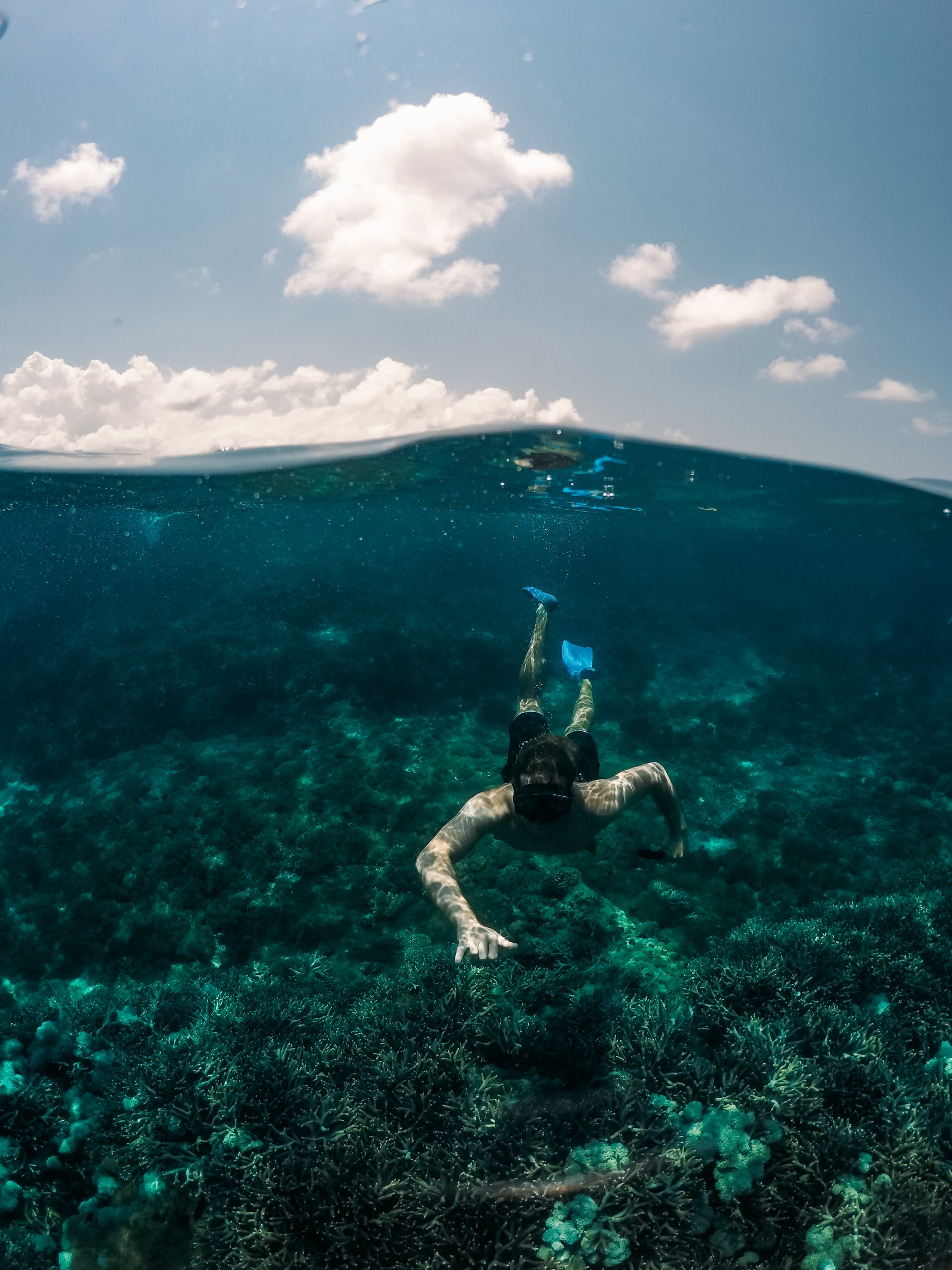 Snorkeling | Navy Island