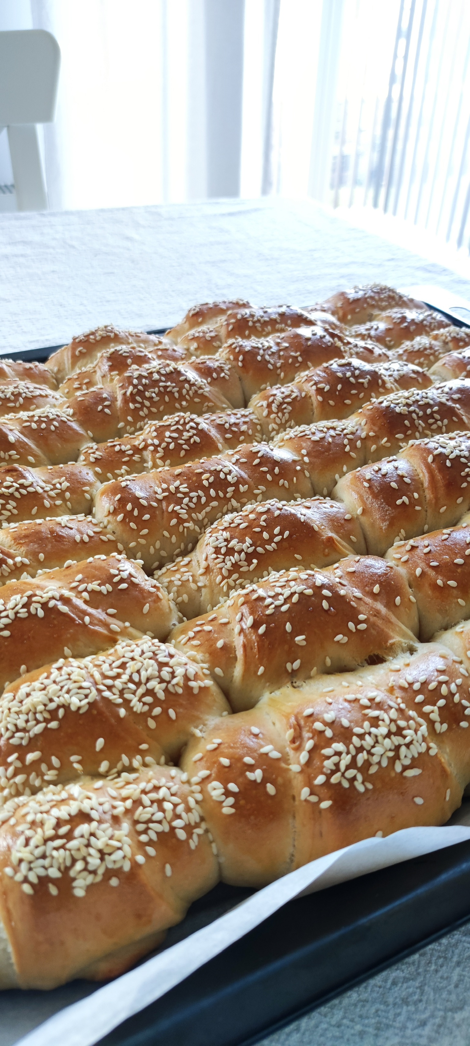 Homemade Sesame Bread Rolls