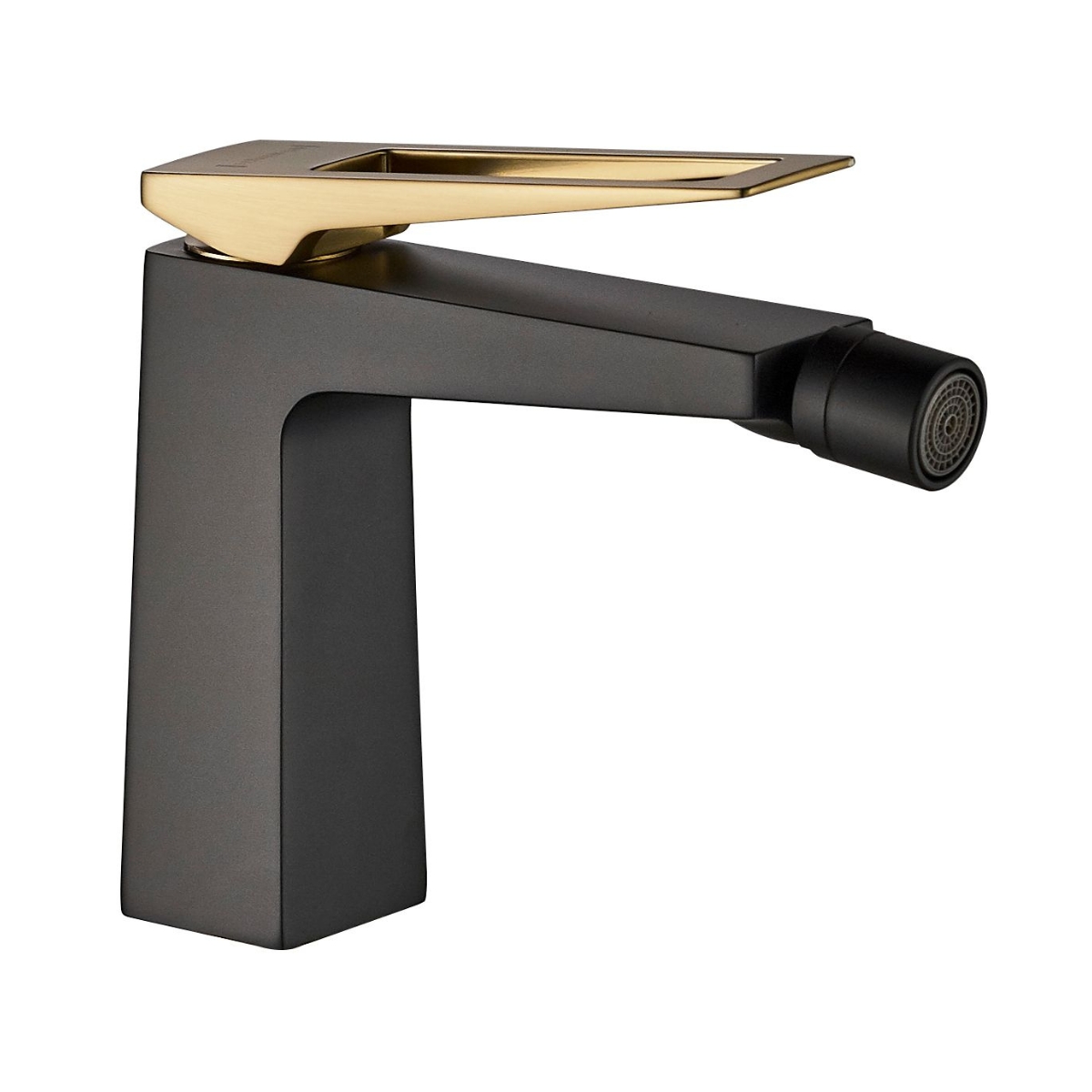 GRIFERÍA BIDET BAÑO HAUSARLUXE-BD-BGH