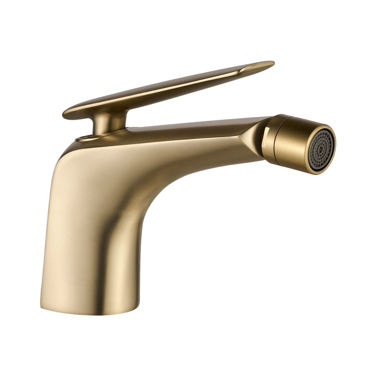 GRIFERÍA BIDET BAÑO HAUSAREVO-BD-BG