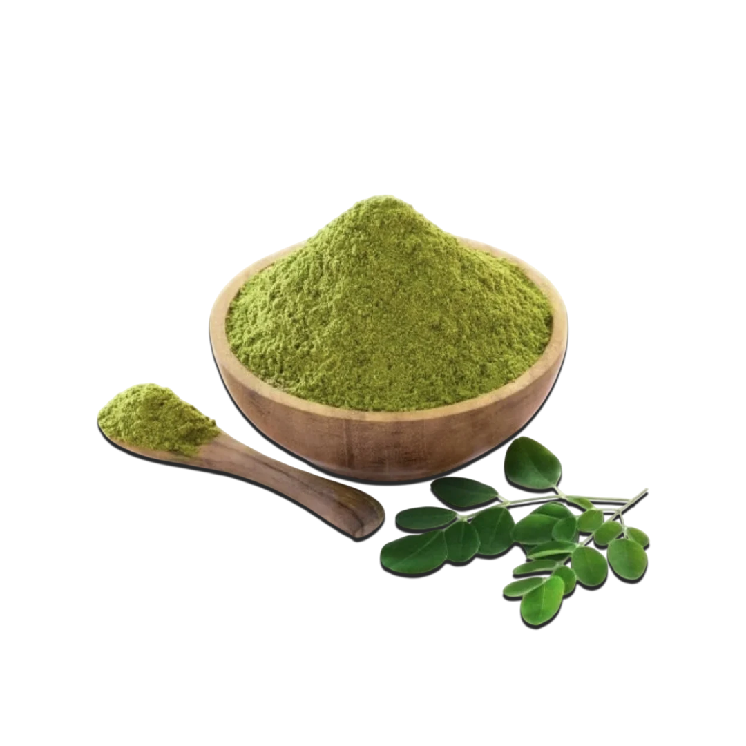 سدر المدينة المنورة 