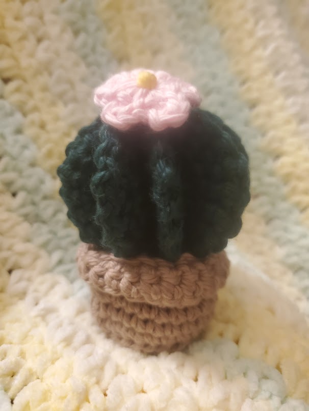 Handmade Crochet Cactus