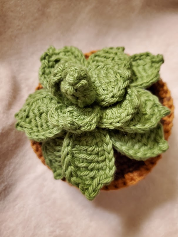 Handmade Crochet Succulent-Hen and Chickens