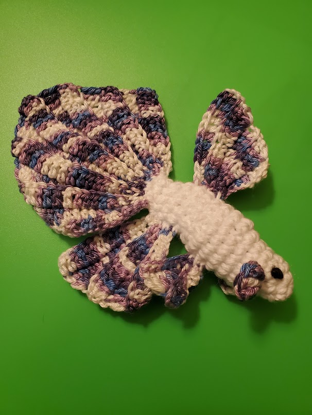 Beta -Siamese Fighting Fish