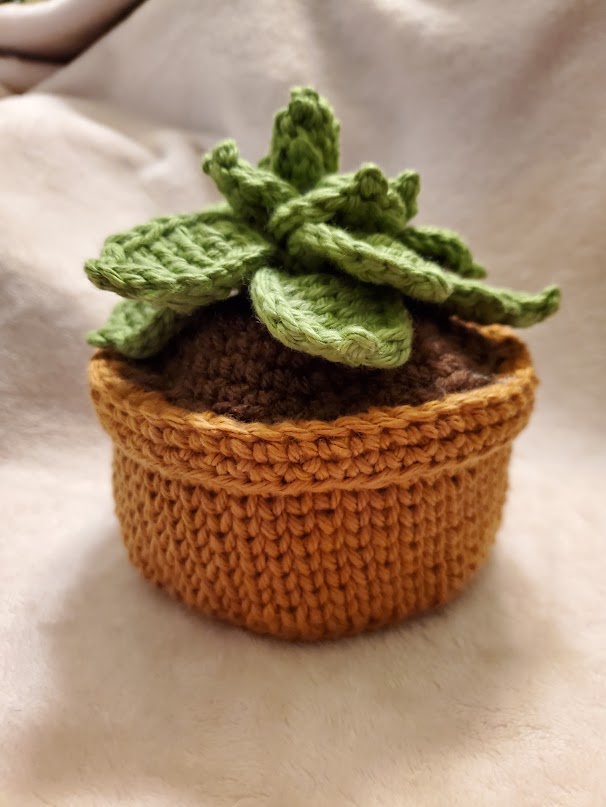 Handmade Crochet Succulent-Hen and Chickens