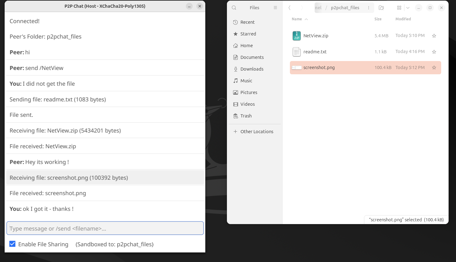 NetP2P: Private, Encrypted Peer-to-Peer Chat & File Share