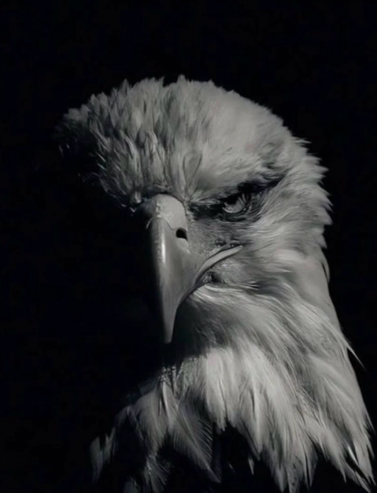 O poder transformador de Provérbios 