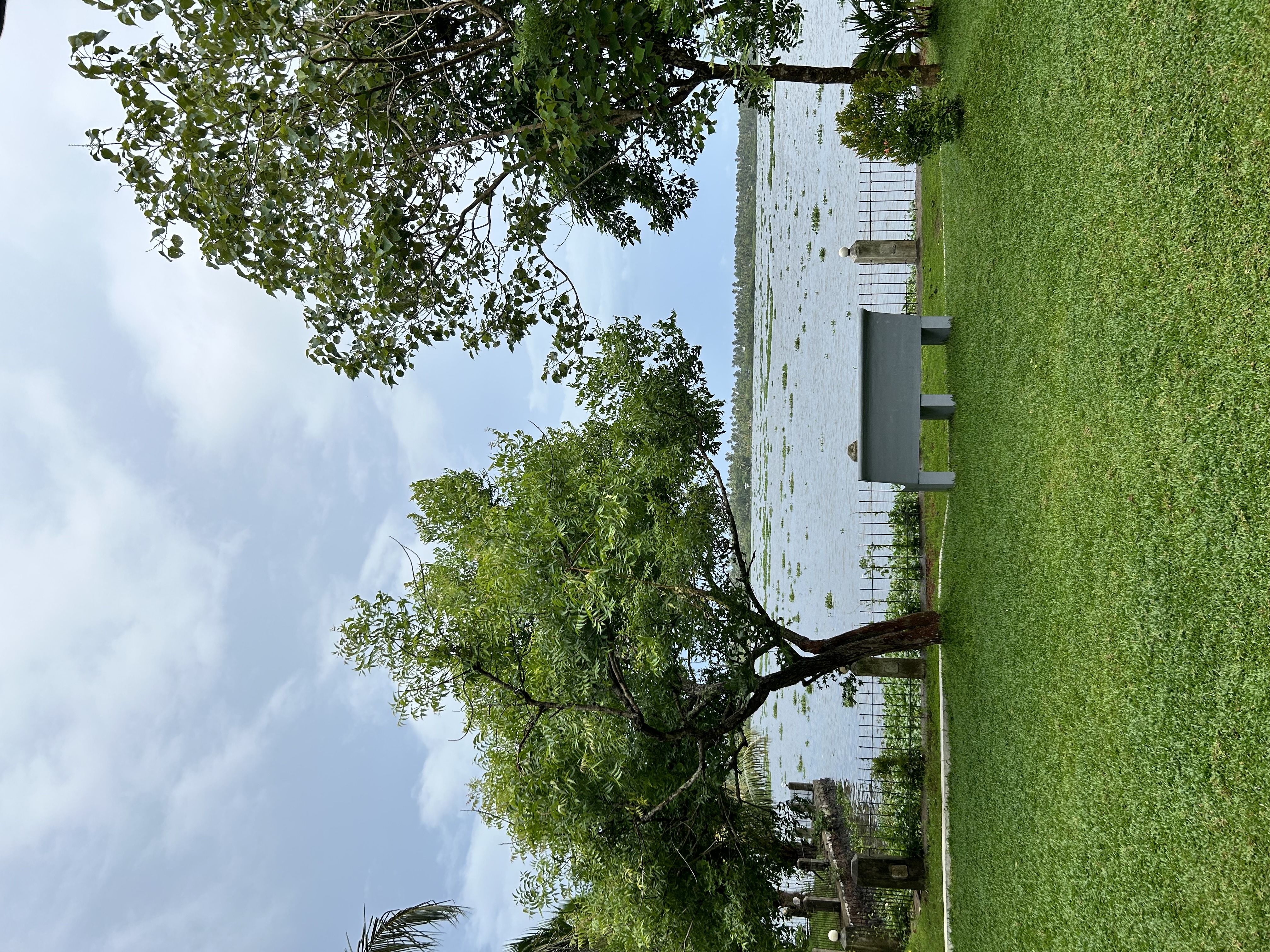 Dhathri Ayurveda - Tradition with Nature