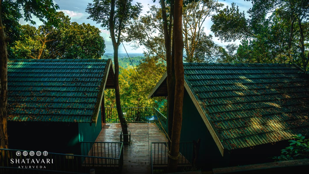 Shatavari Ayurveda Retreat