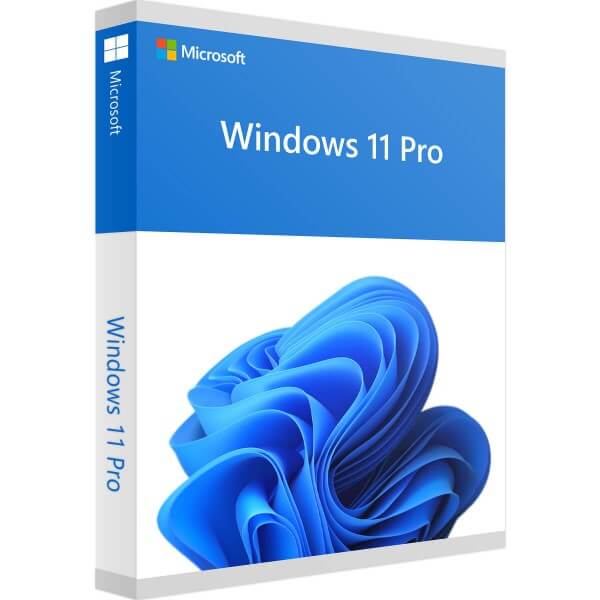 Microsoft Windows 11 Pro DE ESD ( ML )