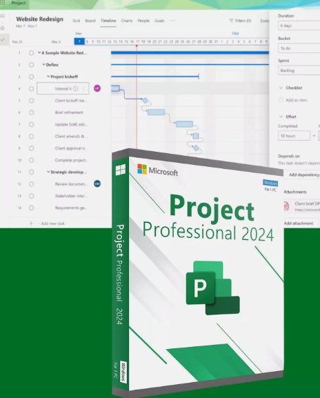 Project 2024 Professional ESD