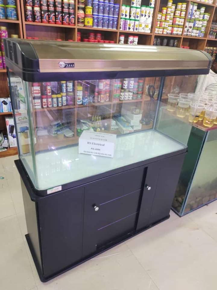 Glass Display Aquarium