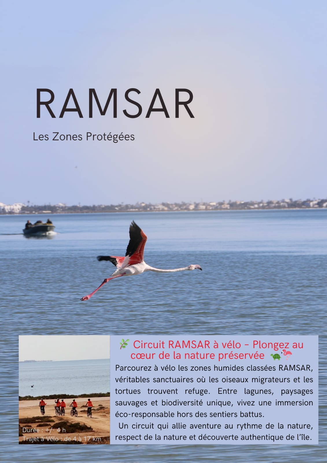 Circuit RAMSAR par Vélo +/- 4h
