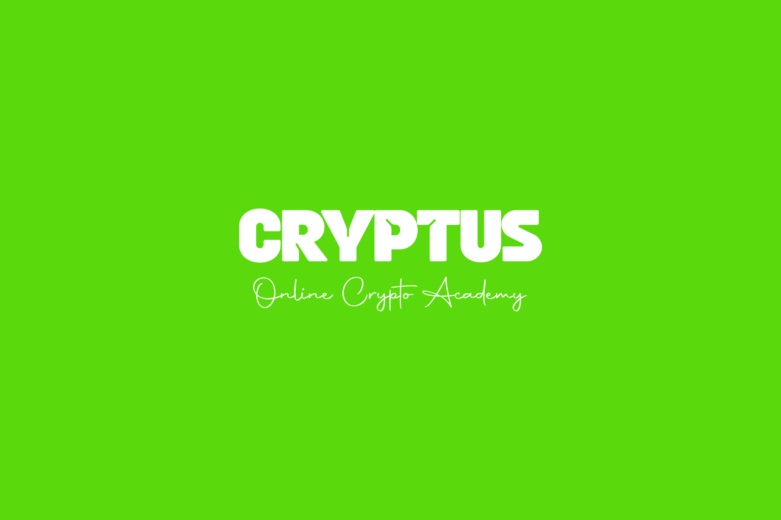 Cryptus Basic Program - Essentials