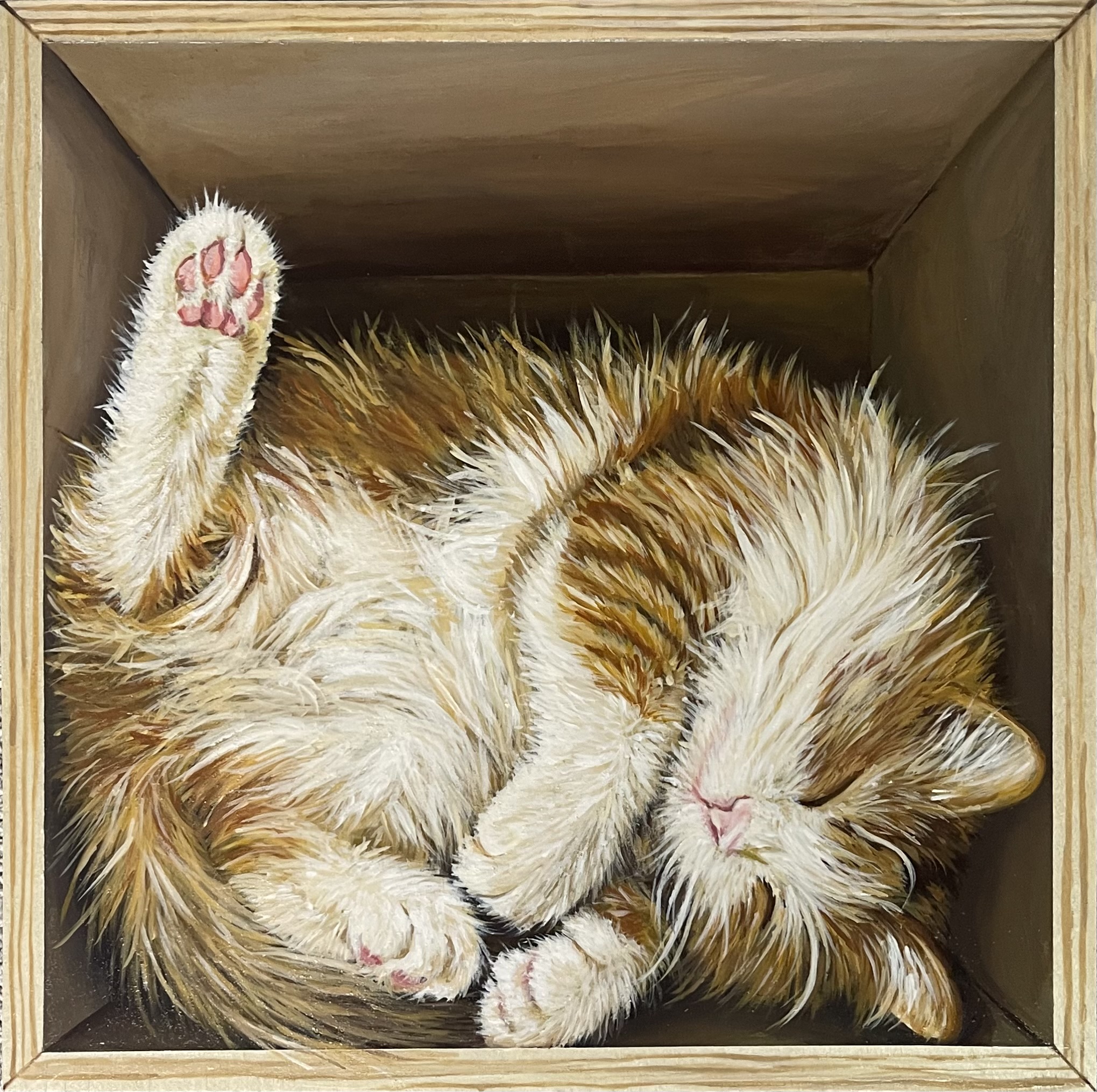 Little Box, Big Dreams